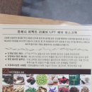 엘샤론헤어 - 남구 양림동 | 엘샤론헤어