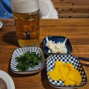 대연 | 사시미가 맛있는 부산 대연 술집 시키 방문 후기