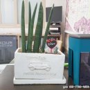 예스공인중개사사무소 이미지