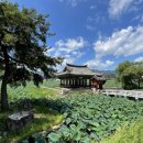 유등연지입구 이미지