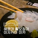 이카 | 해운대 이자카야 맛집 추천 활오징어 회 이자카야 이카 솔직후기