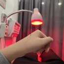 새터 한의원 | 누가 겨울 일상을 여름에 올려요