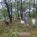 참나무와사람들 투어코리아