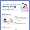울산자생한방병원 Daum카페