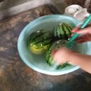 청석골농장 이미지