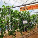 느림보농장 이미지