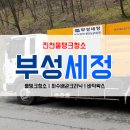 부성세정