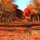 아름다운 이미지