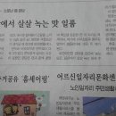 88완당집 티스토리