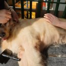 코코목욕 이미지