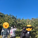한빛농원 - 밀양시 하양지안길 4 | 11월 2주 차 한빛최중증 장애인 센터 외부 활동