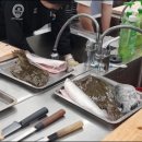 마구로사시미 이미지