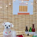 개린이미용실 이미지