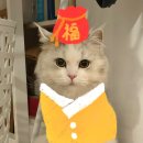 스타쉽월드 | 잃어버린 봄을 찾아서