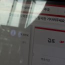제주많은곰