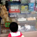 동물은내친구 이미지