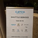 럭키캐치 | 푸켓 캐치비치클럽 방타오 비치클럽 방문 후기