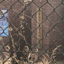 남구-025 이미지