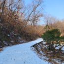 도걸농장 이미지