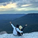 개미카 | [호주/시드니] 페더데일 동물원, 블루마운틴, 별빛투어 솔직 후기, 주의할 점, 카툼바 맛집 식당 추천