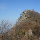 조견사우 이미지