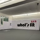 와츠핏레드 이미지