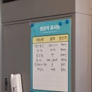 산적 통갈매기 세종점