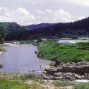 태고정(아래) 이미지