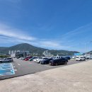 지세포로 이미지