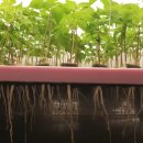 광옥농장 이미지