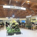 돈마켓 | [청담] 신세계판 돈키호테 :: 트웰브 마켓/트웰브 원더바 후기 <하우스오브신세계 청담>