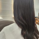 늘솜헤어 - 수영구 | 늘솜헤어