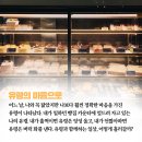 동산청소대행 | 유령의 마음으로 서평 / 임선우 / 민음사