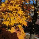 경호축산 이미지