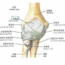 염기룡한의원 이미지