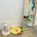 카페;오숑 이미지