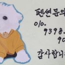 때깔뷰