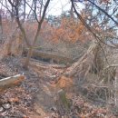 도일목장 이미지