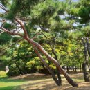 성호공원_조각공원주변 이미지