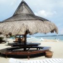 비치블루 이미지