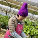 농장자동차공업사 이미지