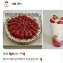 콘타그림