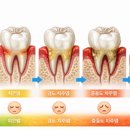 e웰니스치과의원 이미지