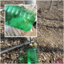 원지농원 | 전북 순창 #방아뜰농원 팸투어 #자작나무수액 시원하다.