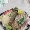 [내돈내산] 노량진 수산시장 손선장 후기｜모듬회 소자 6.5만원 솔직후기 (광어는 맛있고 참돔은 아쉬움)