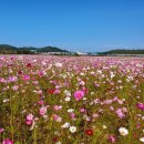 테크노밸리길 이미지