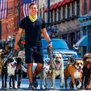 도그도그 이미지