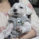 사랑해봉달이(폐업) | 네가 버리지 못하는 유일한 문장이 되고 싶다.