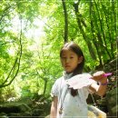 국립운문산자연휴양림야영장 이미지