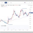 자이에스앤디(주) 이미지